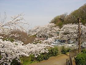 ２０１５年湘北短大の様子